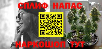 гидропоника Вязники
