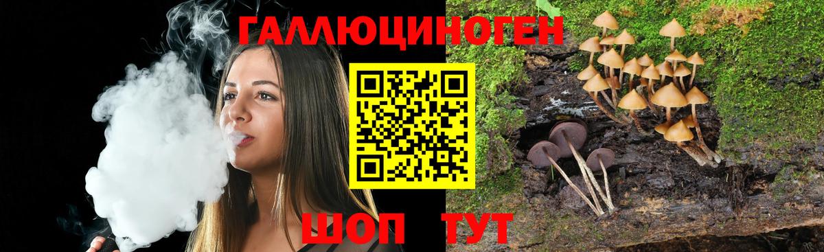 Белорецк  хочу   Вход с VPN  Галлюциногенные грибы MAGIC MUSHROOMS 